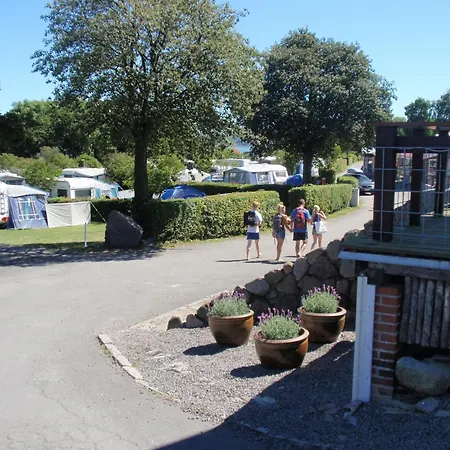 Sandkaas Family & אלינגה